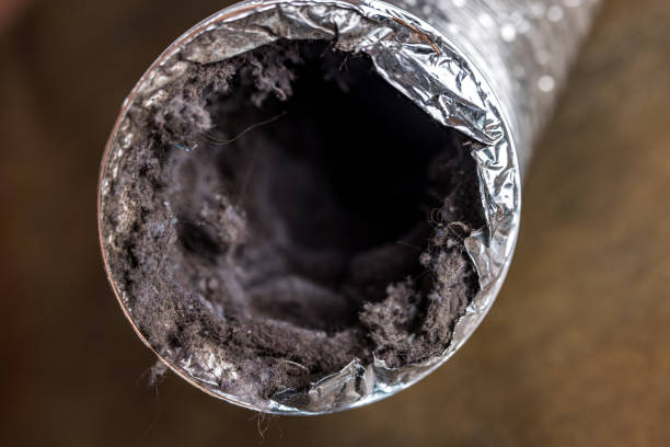 Best Residential Air Duct Cleaning  in Vine Hill, CA