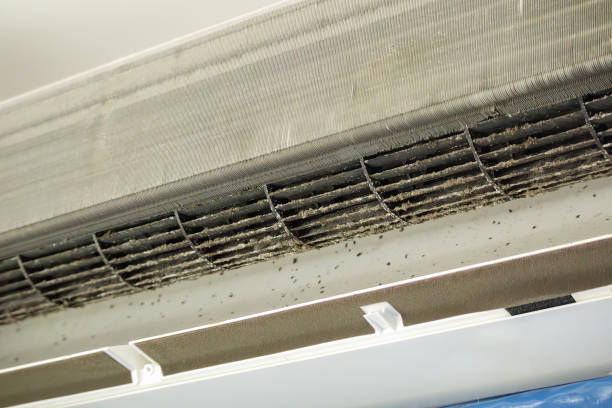 Best Air Duct Mold Removal  in Vine Hill, CA