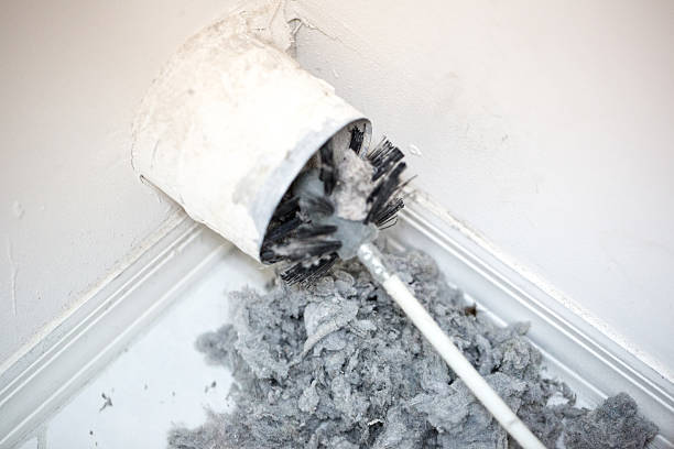 Best Home Air Vent Cleaning  in Vine Hill, CA